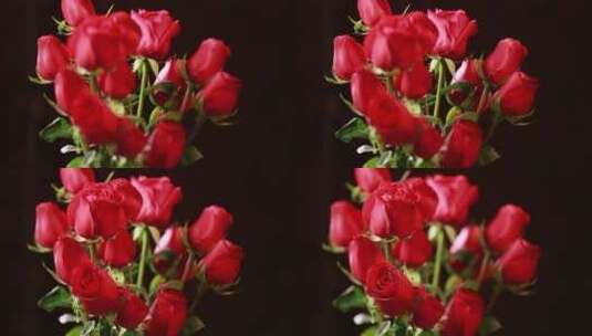 家具生活品味装饰爱情表白红玫瑰花高清在线视频素材下载