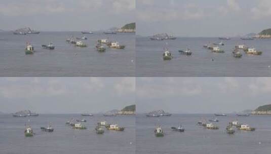 海上的渔船高清在线视频素材下载