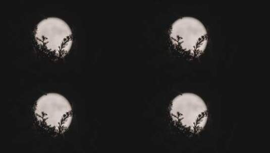 月亮在上升高清在线视频素材下载
