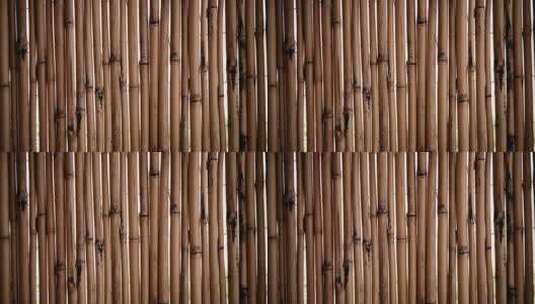 排排的竹节特写高清在线视频素材下载
