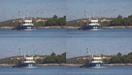 被海鸥群围绕的海上渔船高清在线视频素材下载
