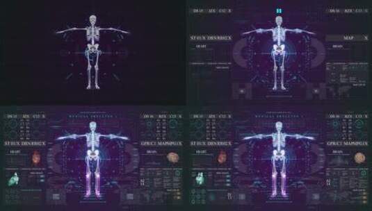 人体骨骼蓝色科技HUD屏幕节目医疗大数据高清在线视频素材下载