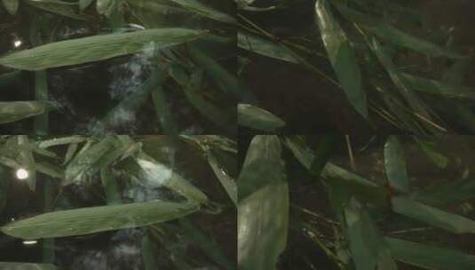 水底下的竹叶高清在线视频素材下载