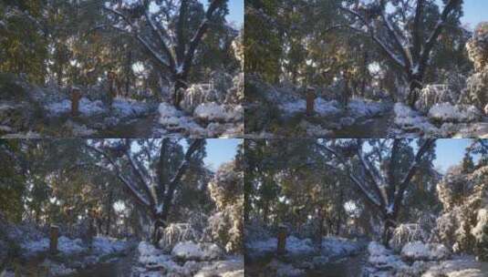 冬天雪景高清在线视频素材下载