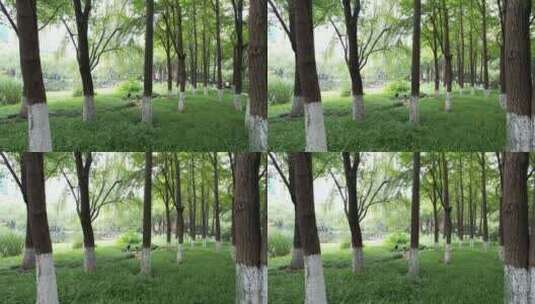 杭州江干区世纪花园公园航拍高清在线视频素材下载