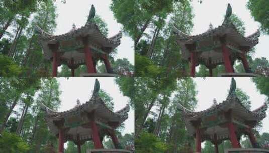 中国科学院武汉植物园芙蕖亭高清在线视频素材下载