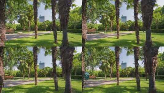 郑州碧沙岗棕榈园午后光影延时摄影高清在线视频素材下载