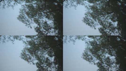 随风飘摇的树影慢镜头高清在线视频素材下载