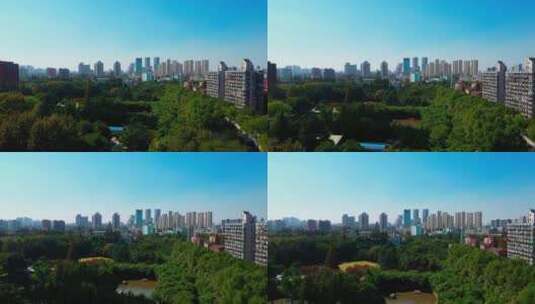 上海的城市公园高清在线视频素材下载