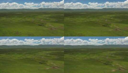 航拍甘肃甘南州玛曲草原牧场牦牛高清在线视频素材下载