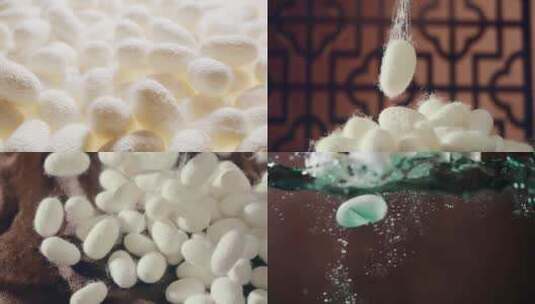 蚕茧 蚕丝 蚕蛹 实拍视频素材高清在线视频素材下载