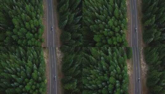 两边树林鸟瞰汽车在公路上旅行高清在线视频素材下载