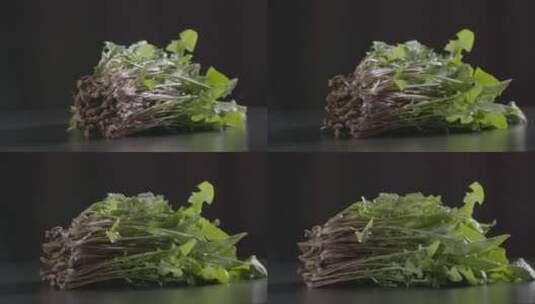 婆婆丁野菜LOG视频素材高清在线视频素材下载
