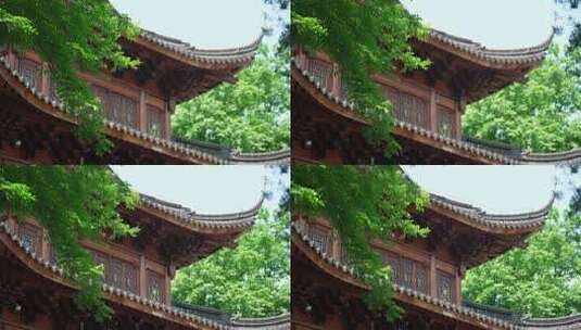 杭州下天竺 夏天寺庙飞檐前的树叶随风飘动高清在线视频素材下载