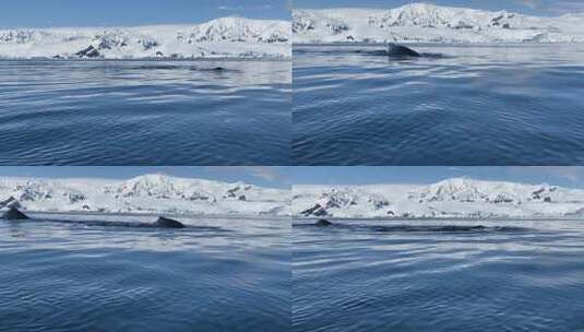 海浪 浪花 大海 礁石   浪花拍打礁石 大海高清在线视频素材下载