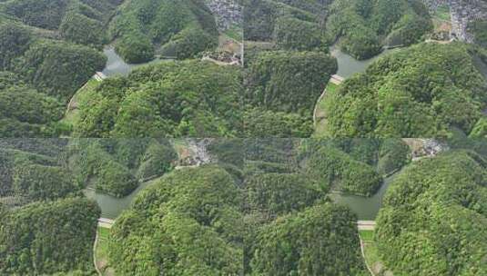 杭拍杭州余杭中泰街道茶山茶园高清在线视频素材下载