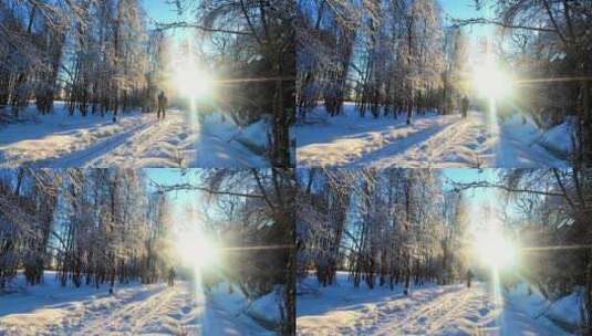 日出男人迎着阳光走在森林雪地中脚步坚韧高清在线视频素材下载