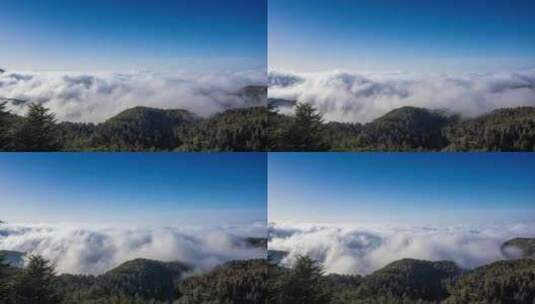 山谷上的云海高清在线视频素材下载