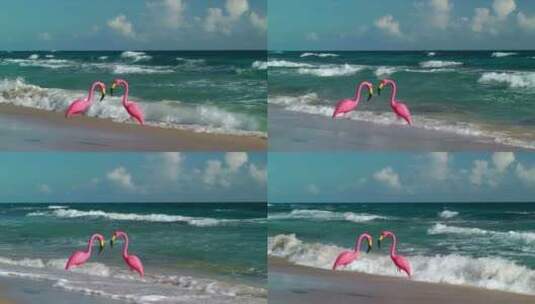 伊莎贝尔海滩上的两只塑料火烈鸟高清在线视频素材下载