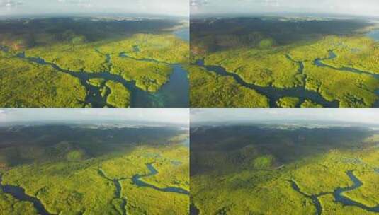 巴西亚马逊雨林和河流的鸟瞰图高清在线视频素材下载