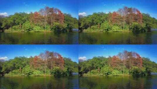 秋季湖面树林高清在线视频素材下载
