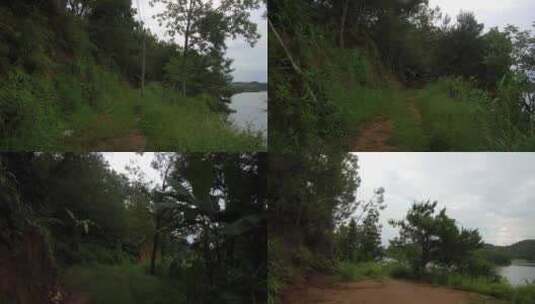 森林湖泊高清在线视频素材下载