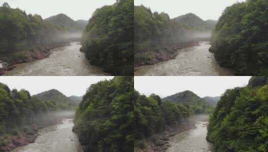 森林溪流流水 山间溪流瀑布高清在线视频素材下载