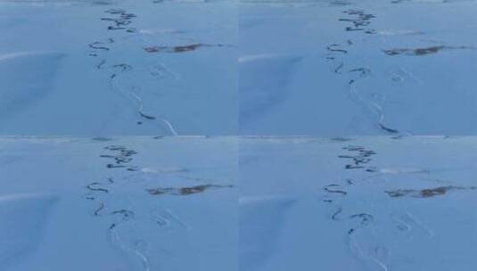 呼伦贝尔冬季雪原特泥河湿地雪景自然风光高清在线视频素材下载