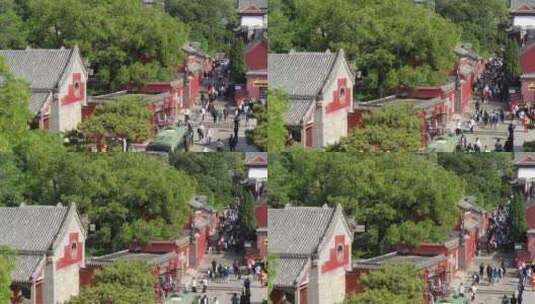 五月的泰山红门景区高清在线视频素材下载