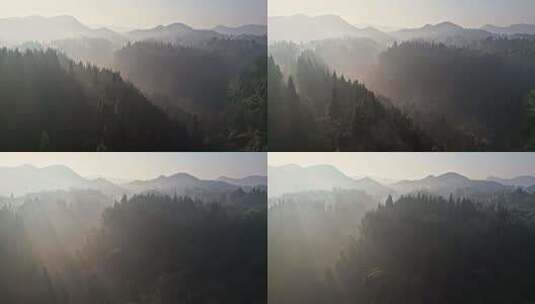 清晨大山森林航拍高清在线视频素材下载