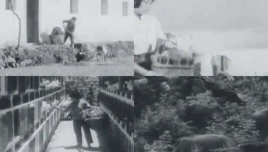 1972年农业机械化历史影像5高清在线视频素材下载