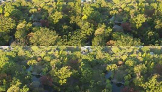 秋季清晨无人的苏州园林拙政园空镜头高清在线视频素材下载