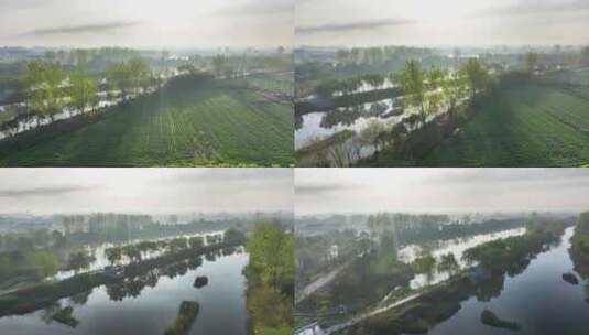 航拍农村乡镇河流生态河道清晨晨雾高清在线视频素材下载