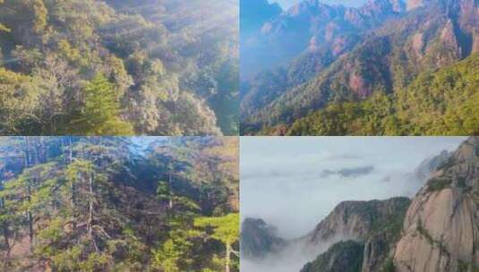 安徽黄山风景区风景视频素材高清在线视频素材下载