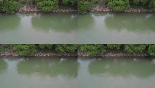河流流水航拍高清在线视频素材下载