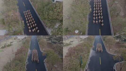 民兵训练高清在线视频素材下载