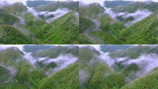 实拍雨后森林云雾缭绕 绿水青山 高山云海高清在线视频素材下载
