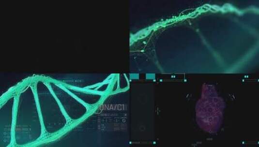 赛博朋克DNA人体扫描数据分析高清AE视频素材下载