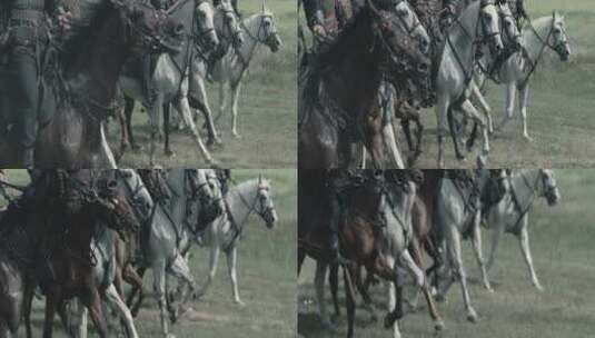 骑士们在草原骑马战斗高清在线视频素材下载
