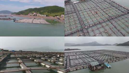 中国福建水上漂浮养殖场，渔民在木板间穿梭高清在线视频素材下载