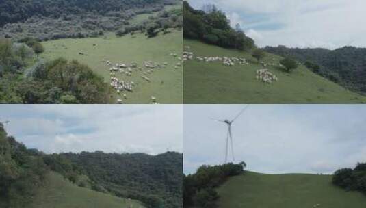 高山草原羊群高清在线视频素材下载