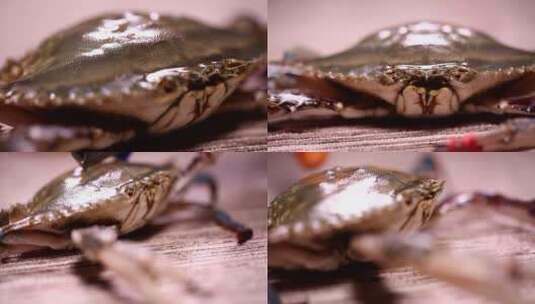 【镜头合集】海蟹飞蟹梭子蟹高清在线视频素材下载