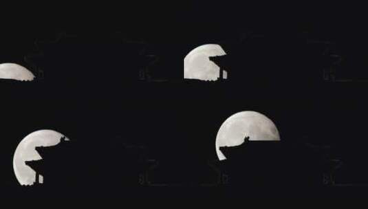 紫禁城的夜晚剪影高清在线视频素材下载