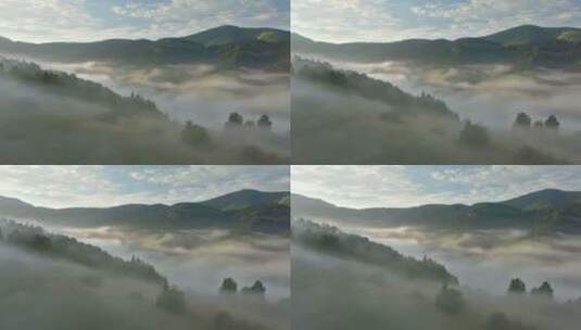 航拍森林大雾高清在线视频素材下载