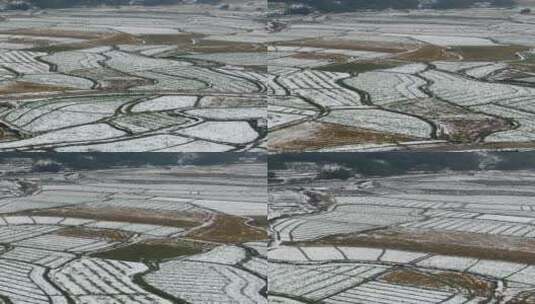 航拍农业种植农田冬天雪景竖屏高清在线视频素材下载