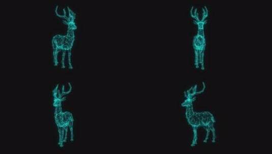 唯美麋鹿 中国鹿 粒子鹿 全息投影高清在线视频素材下载