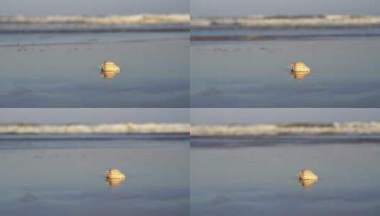 阳光沙滩下海螺贝壳海水浪花海滩沙子夕阳光高清在线视频素材下载
