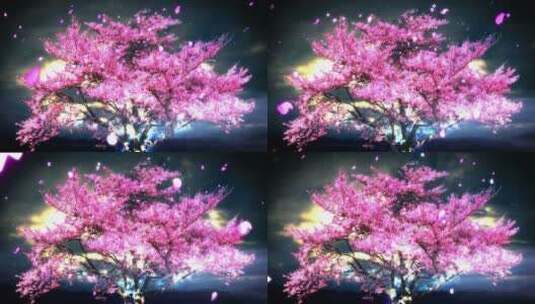 大树的花瓣高清在线视频素材下载