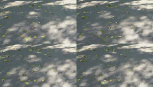 树影光影路上树叶影子地上树影风吹树叶阳光高清在线视频素材下载