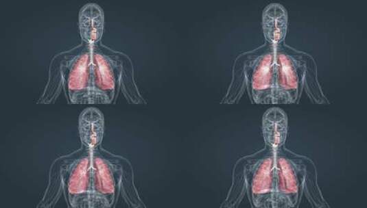 上呼吸道肺呼吸支气管炎疾病医学三维动画高清在线视频素材下载
